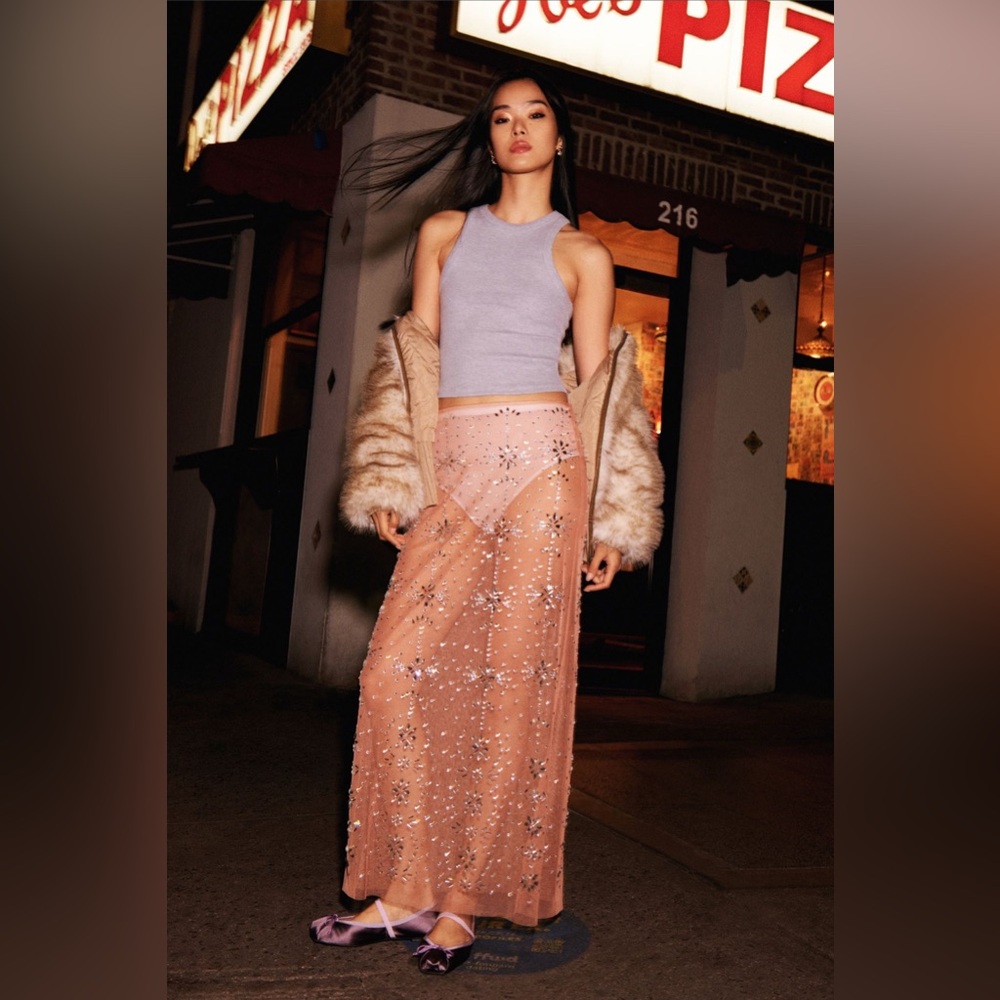 ANTHROPOLOGIE Crystal Sheer Maxi Skirt - Picture 1 of 12